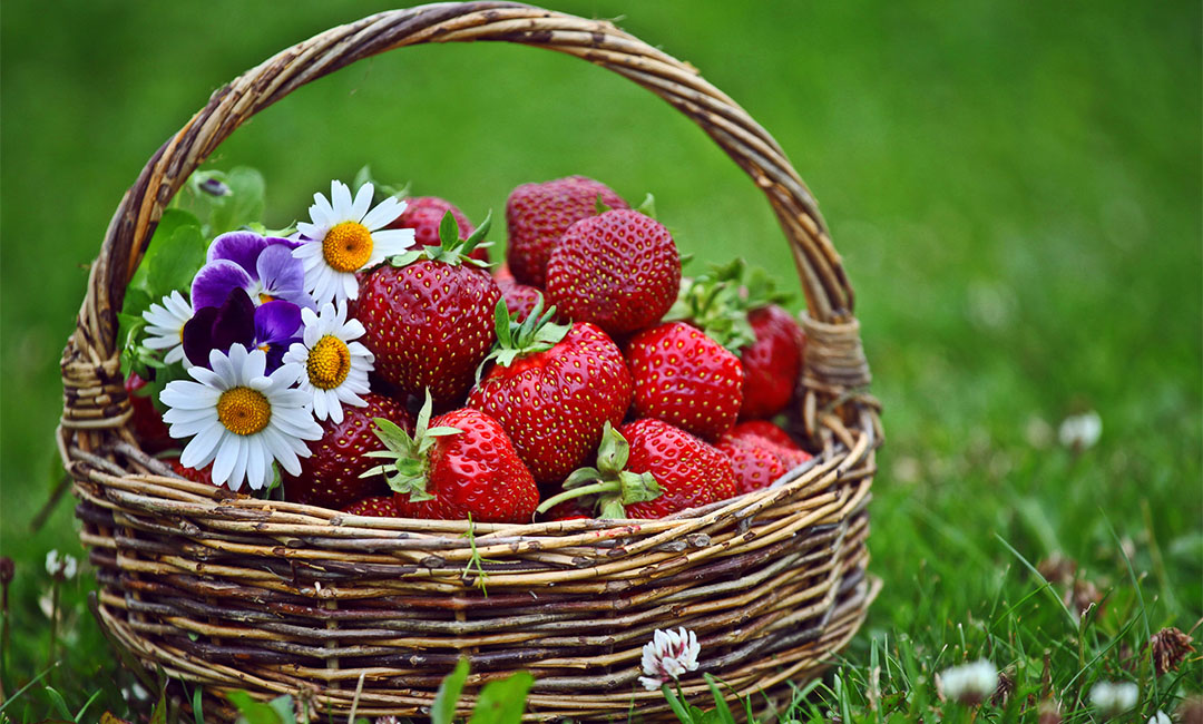 河北点呀点水果电商APP开发案例